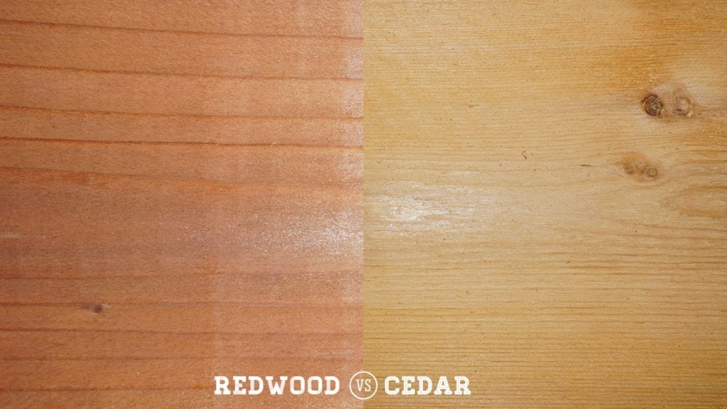 redwood v cedar