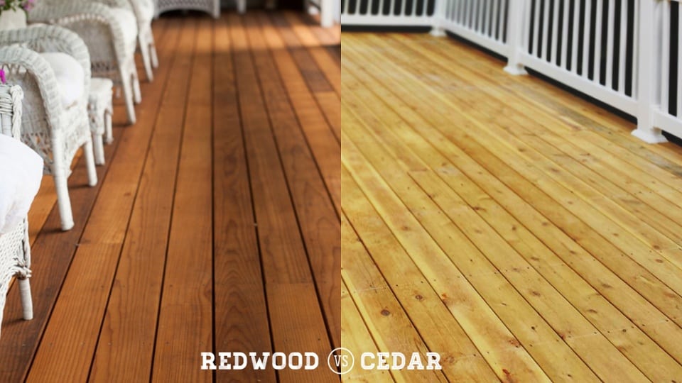 redwood v cedar