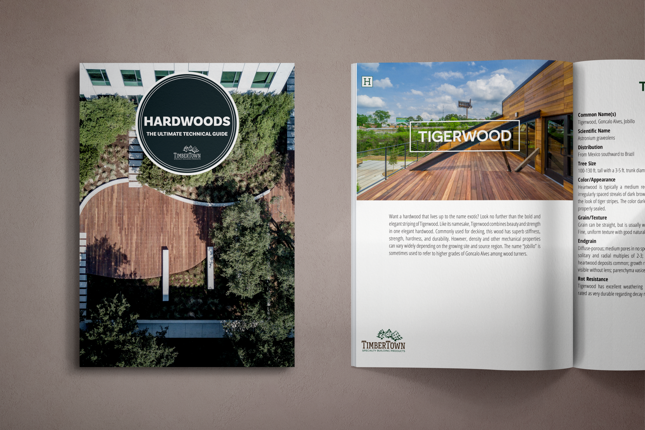 Cover Mockup