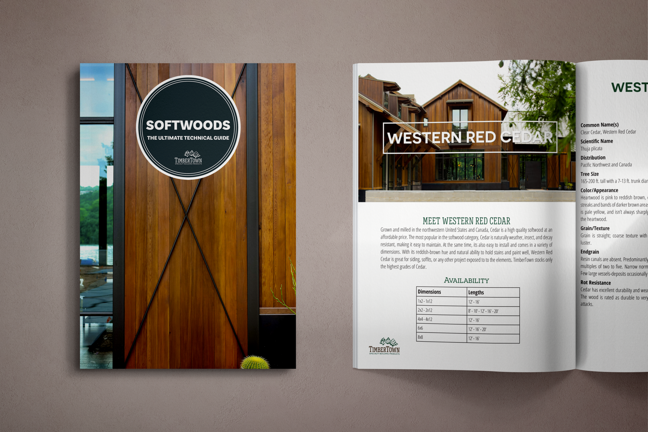 Cover Mockup