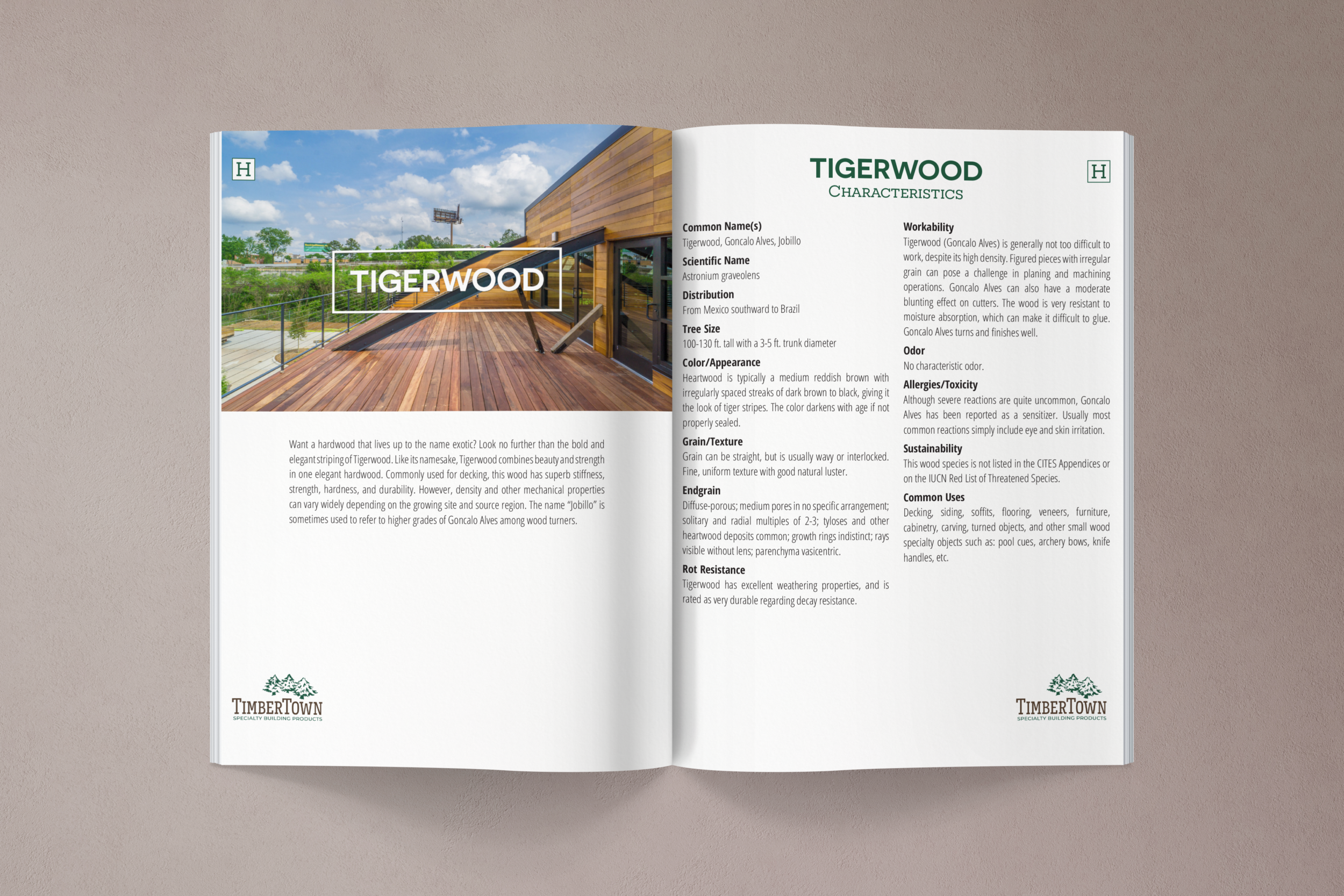 Spread Mockup