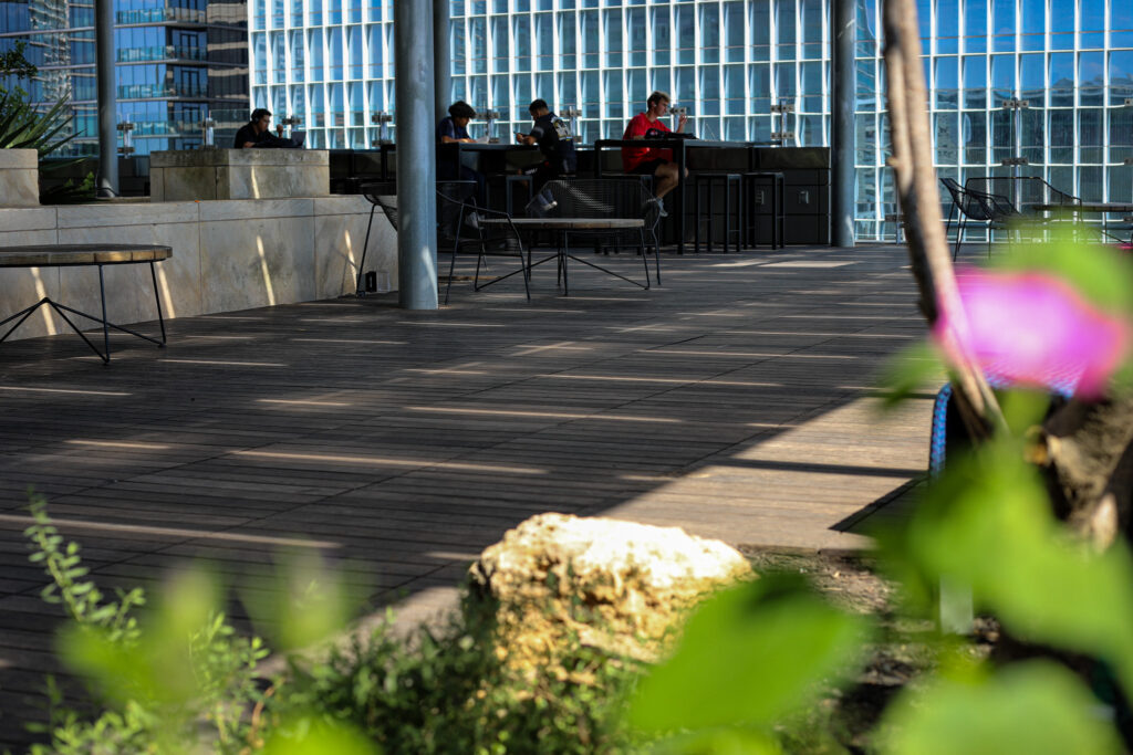 Austin library