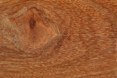 Cumaru:Gloss Clear