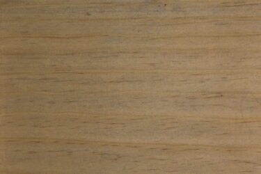 Natural Accoya : Smokey Gray