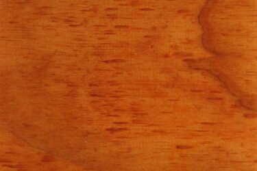 Natural Accoya:Autumn Tone