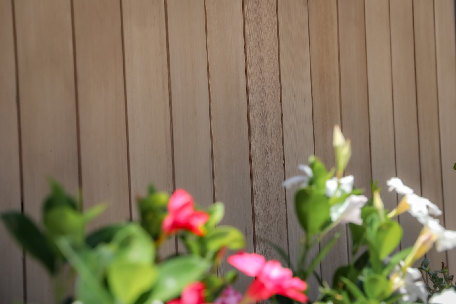 Detail view of modified wood soffits used throughout a modern Hill Country home.