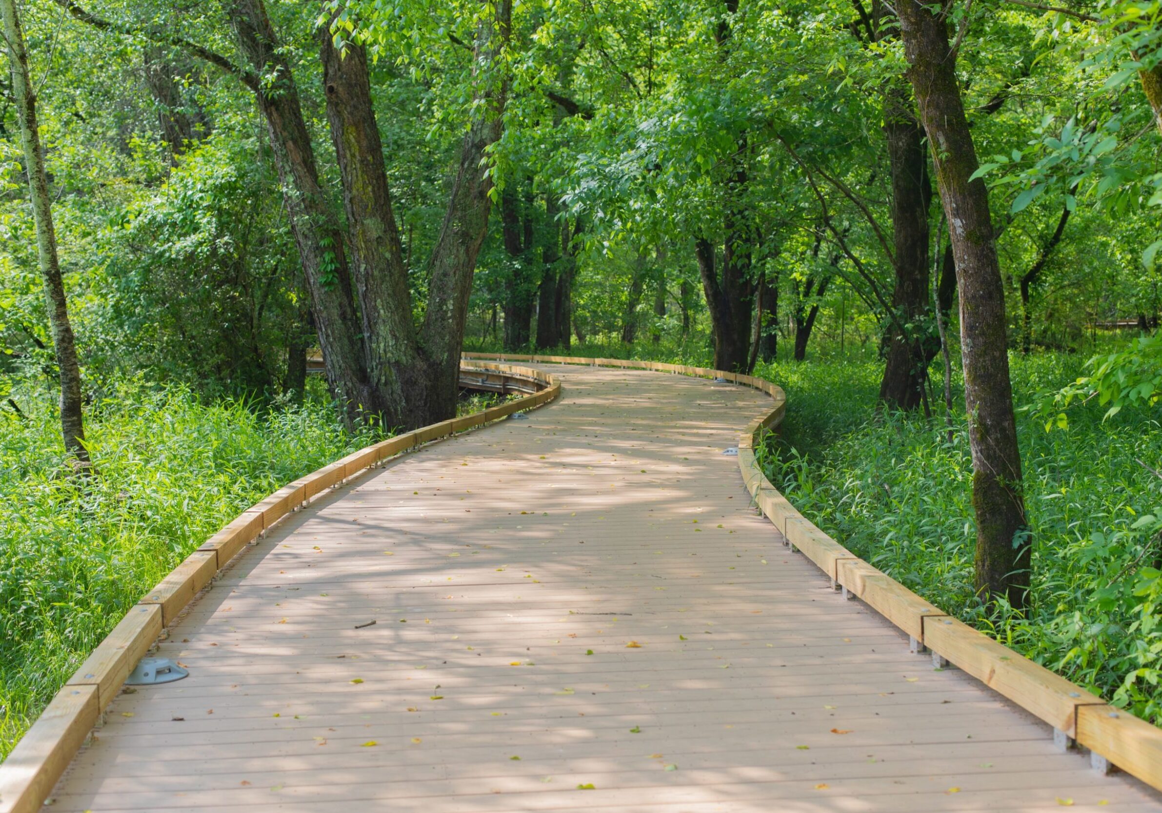 Accoya Decking in Atlanta Georgia Park