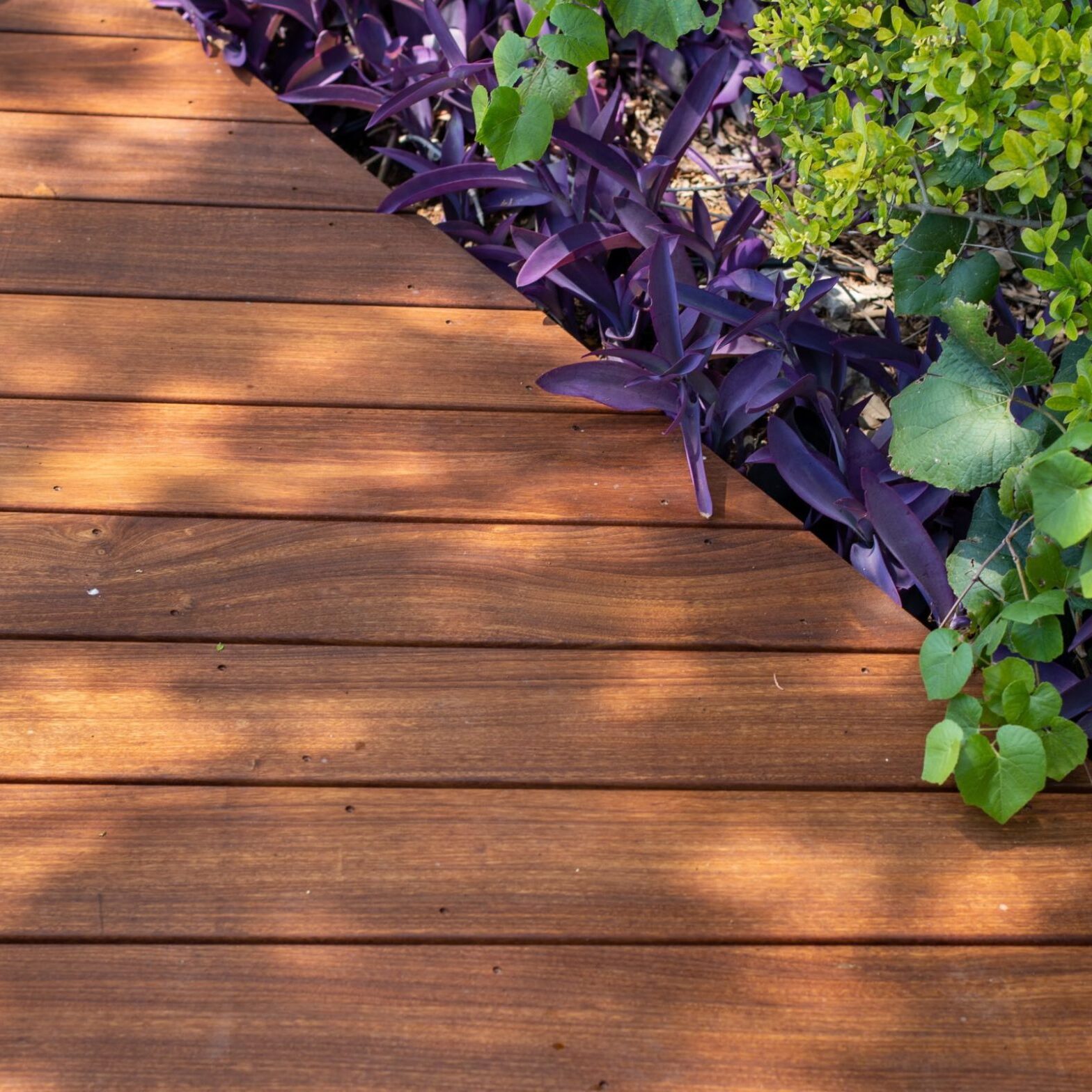 Ipe Decking WUI approved Austin