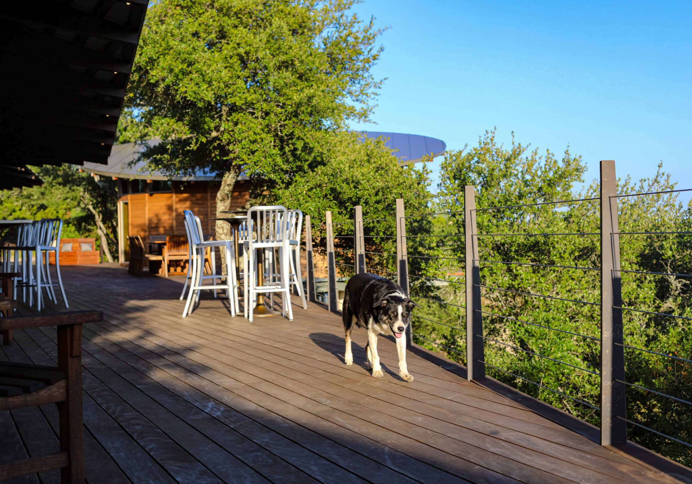 Hardwood Decking with Cable Railing Austin Hill Country