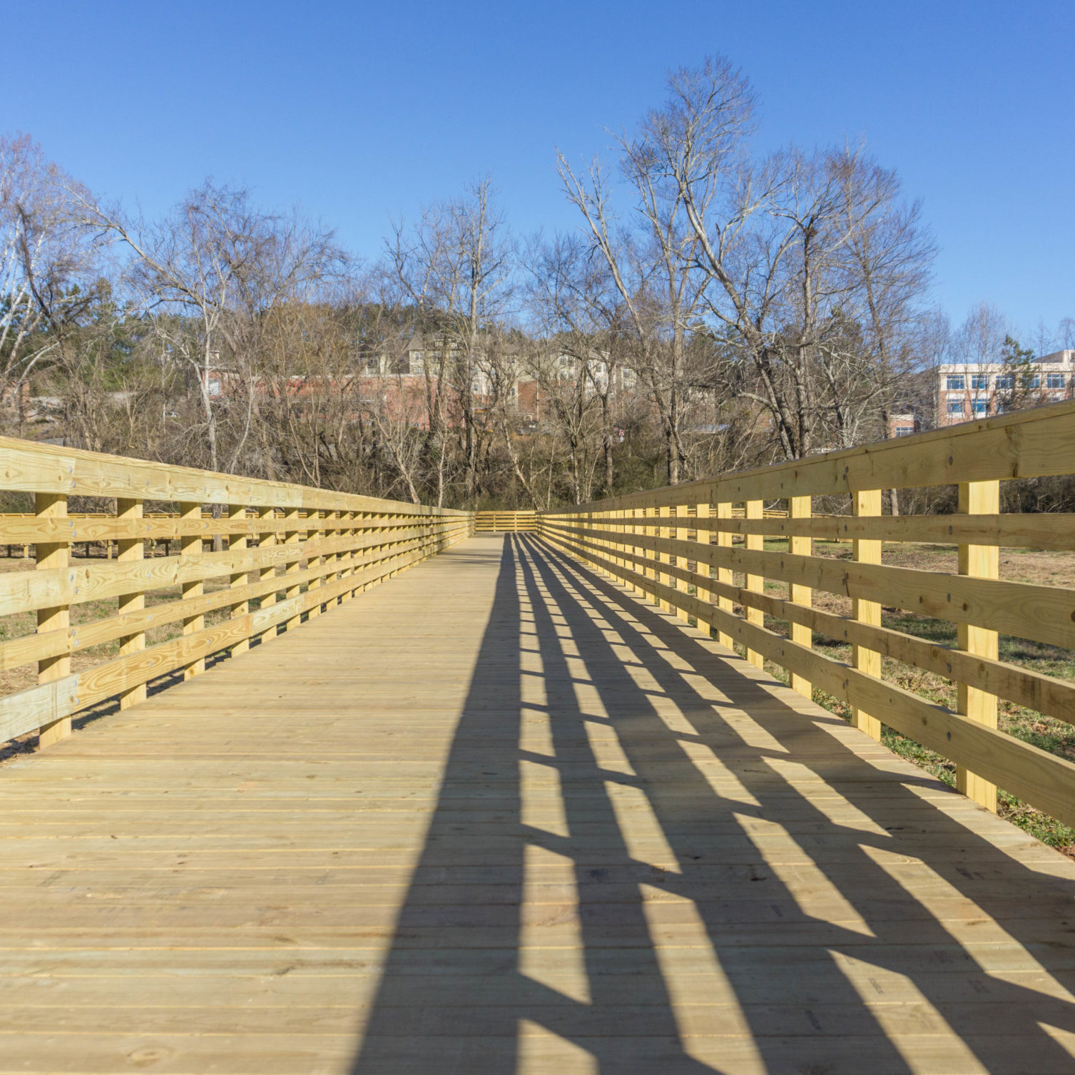 Treated Pine Boardwalk