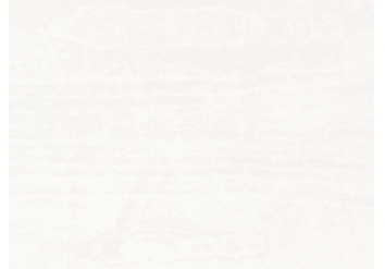 Woodtone Ceiling & Wall