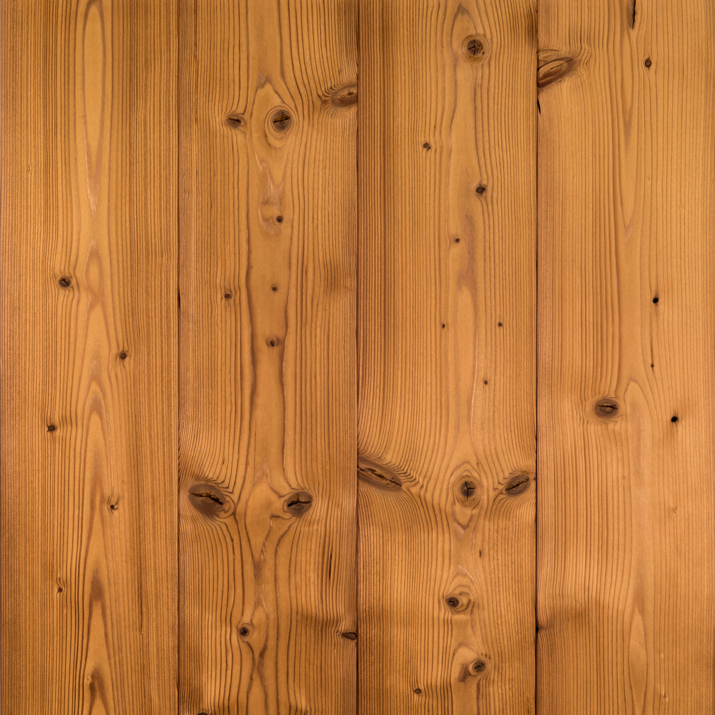 THM_Kodiak_1x9-C215-Cladding_JEM_5